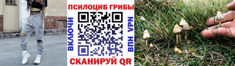 купить  сайты  Сертолово  Галлюциногенные грибы MAGIC MUSHROOMS 