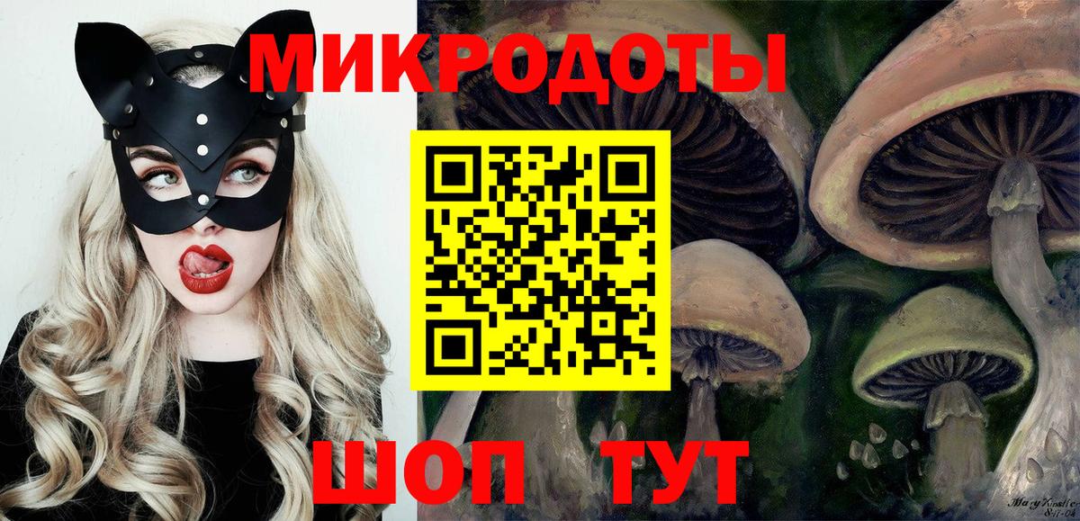 Галлюциногенные грибы Cubensis Сертолово