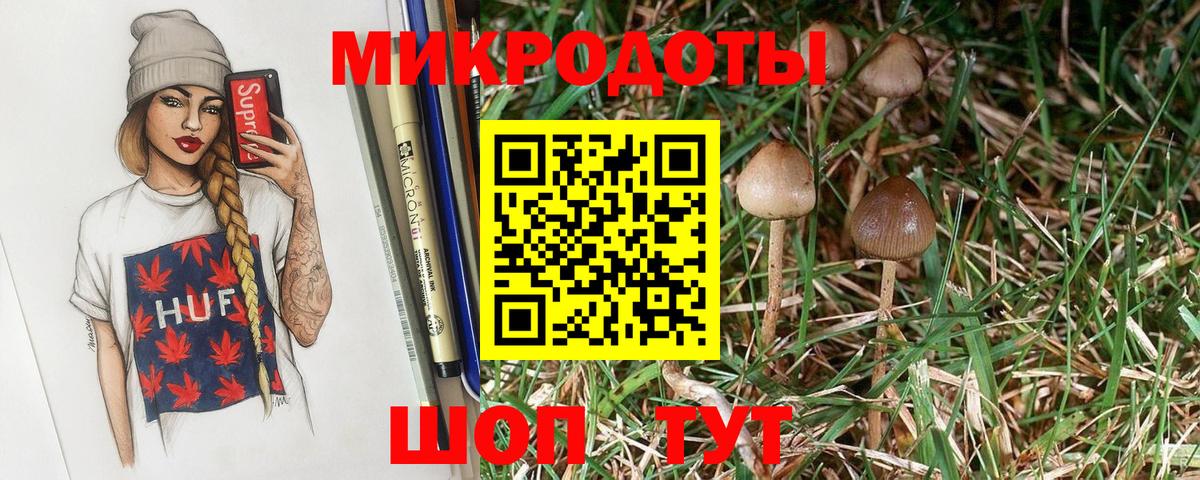Галлюциногенные грибы Psilocybe  Галлюциногенные грибы прущие грибы  Сертолово  Вход с VPN 