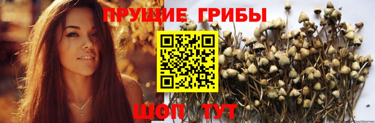 А ПВП СОЛЬ кристаллы  Кокаин  Меф МЯУ МЯУ   Вход с VPN  Конопля  Сертолово  ГАШ 